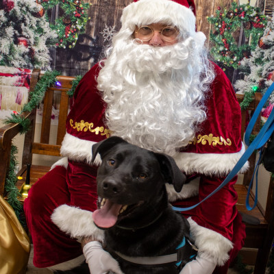 Holiday Cheer at Taylor Veterinary Emergency
