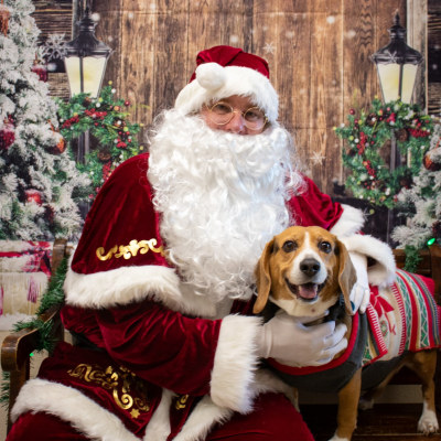 Holiday Cheer at Taylor Veterinary Emergency