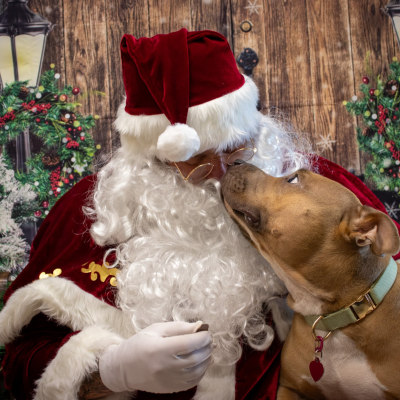 Holiday Cheer at Taylor Veterinary Emergency