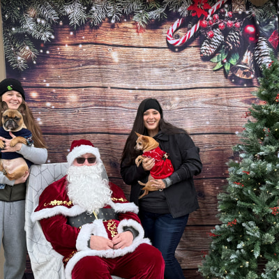 Holiday Cheer at Taylor Veterinary Emergency