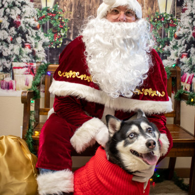 Holiday Cheer at Taylor Veterinary Emergency