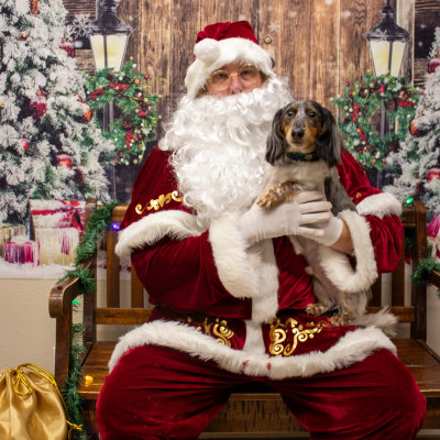 Holiday Cheer at Taylor Veterinary Emergency