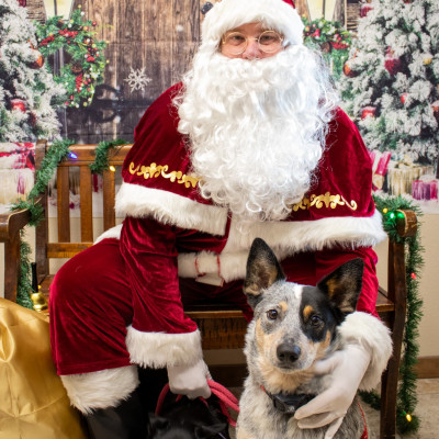 Holiday Cheer at Taylor Veterinary Emergency