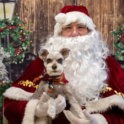 Holiday Cheer at Taylor Veterinary Emergency