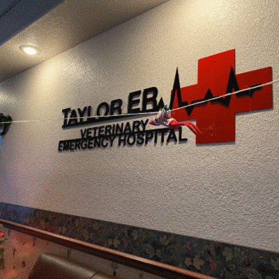 Holiday Cheer at Taylor Veterinary Emergency