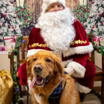 Holiday Cheer at Taylor Veterinary Emergency