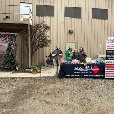 Holiday Cheer at Taylor Veterinary Emergency