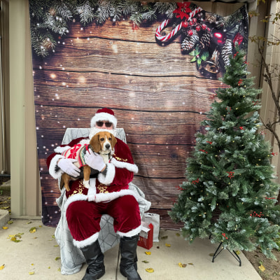 Holiday Cheer at Taylor Veterinary Emergency