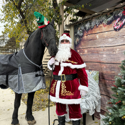 Holiday Cheer at Taylor Veterinary Emergency