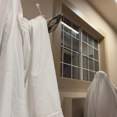 Halloween at Taylor Veterinary Emergency