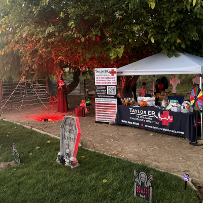 Halloween at Taylor Veterinary Emergency