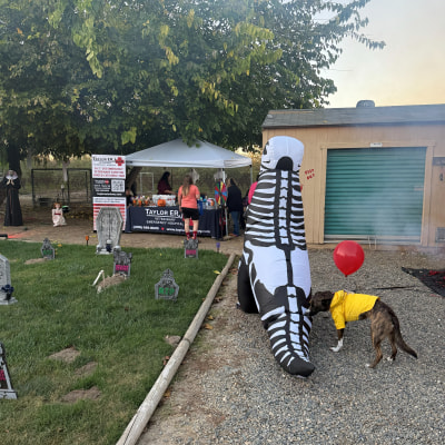 Halloween at Taylor Veterinary Emergency