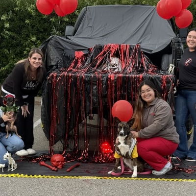 Halloween at Taylor Veterinary Emergency