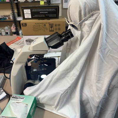 Halloween at Taylor Veterinary Emergency