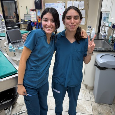 Hospital Tour at Taylor Veterinary Emergency