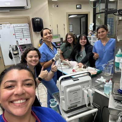 Hospital Tour at Taylor Veterinary Emergency