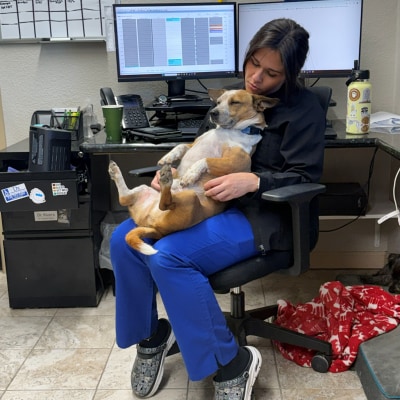 Hospital Tour at Taylor Veterinary Emergency