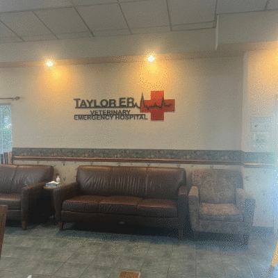 Hospital Tour at Taylor Veterinary Emergency