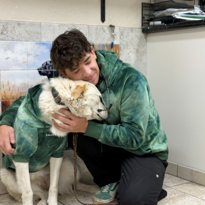 Hospital Tour at Taylor Veterinary Emergency