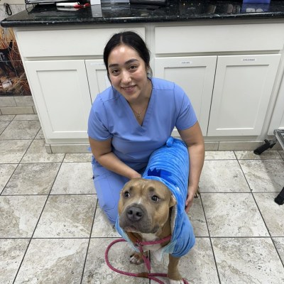 Hospital Tour at Taylor Veterinary Emergency