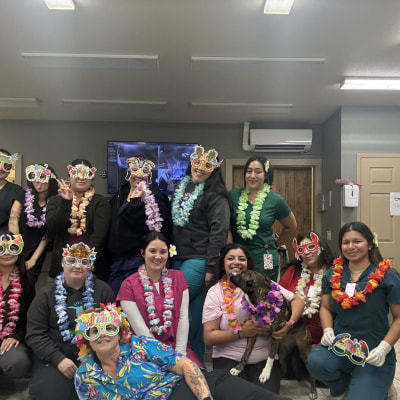 Hospital Tour at Taylor Veterinary Emergency