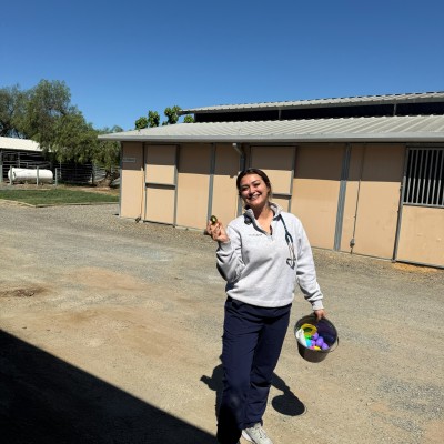 Hospital Tour at Taylor Veterinary Emergency