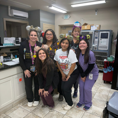 Hospital Tour at Taylor Veterinary Emergency