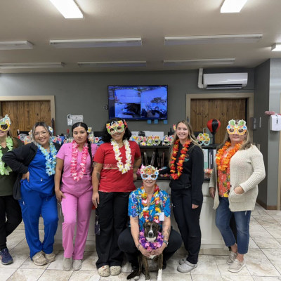 Hospital Tour at Taylor Veterinary Emergency