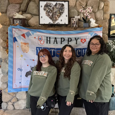 Hospital Tour at Taylor Veterinary Emergency