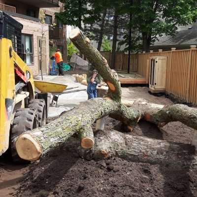 May 24th - Bienenstock Construction