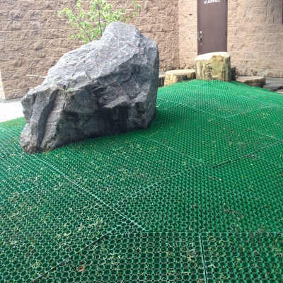 May 30th - Bienenstock Construction