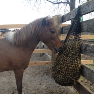 Feeder attached to fence