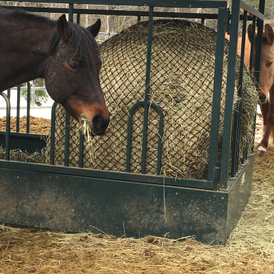 Horse eating from Hay Bale Holder