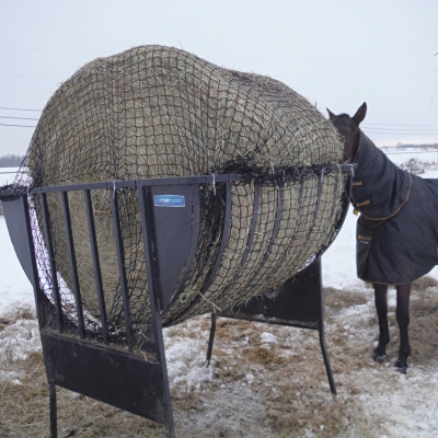 Horses Eating from Suspended Bale