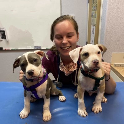 St. Michael's Companion Animal Hospital's Patients