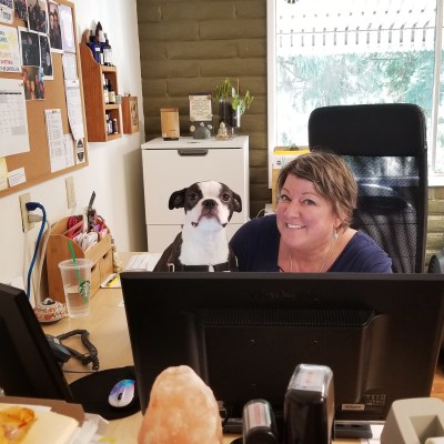 Northgate Veterinary Clinic