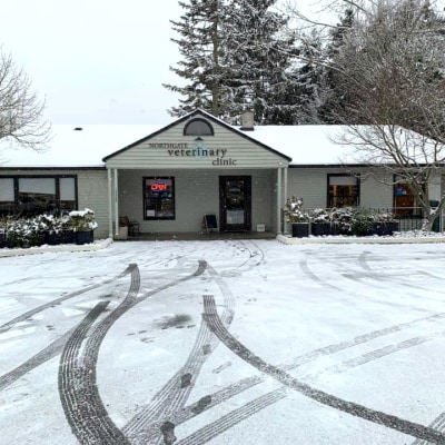 Northgate Veterinary Clinic