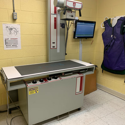 Radiography Services