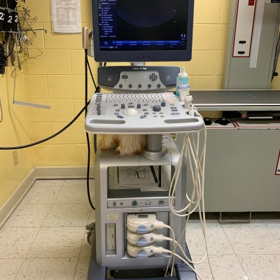 Echocardiogram Services