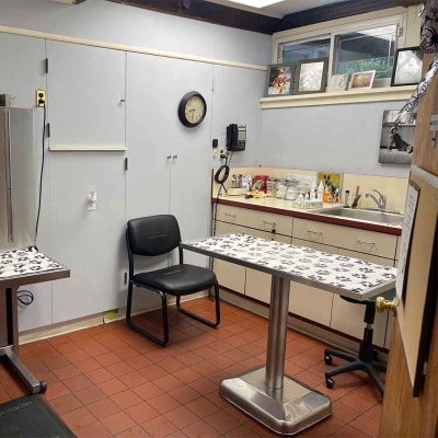 Our Exam Room