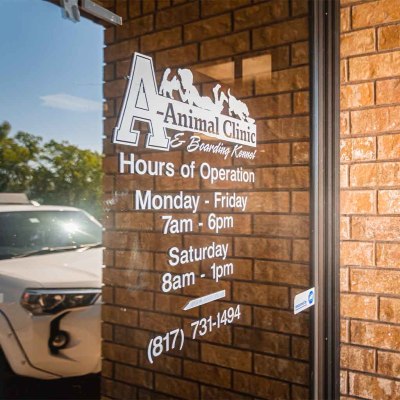 A-Animal Clinic