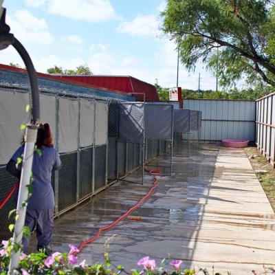 Accomodations For Pets