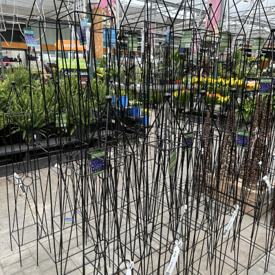 Trellis