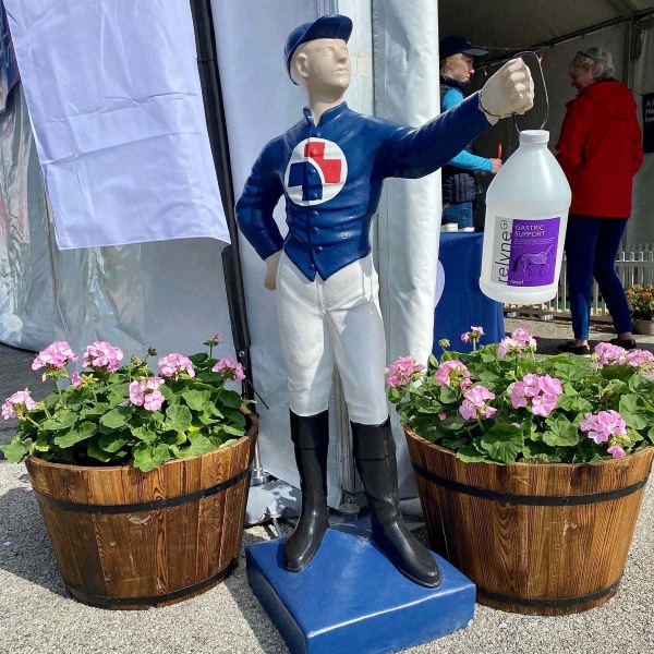 Resolvet by Hagyard at Land Rover Kentucky, 2022