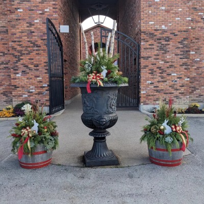 Hare Winery Xmas 2023