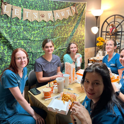 All Creatures Veterinary Hospital Hospital Staff 28