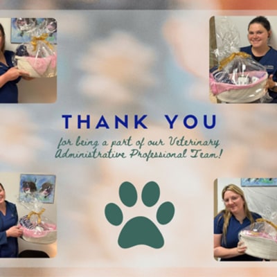 All Creatures Veterinary Hospital Hospital Staff 29